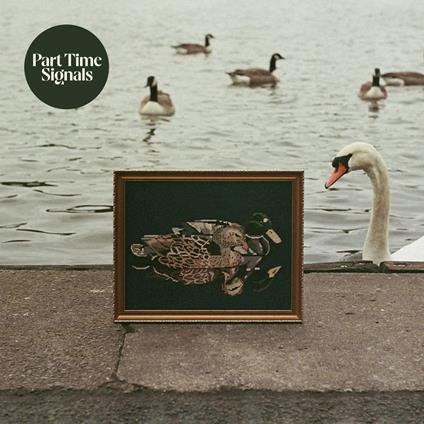 Ducks Back, Baby - CD Audio di Part Time Signals