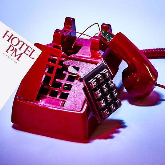 Hotel Pm - Vinile LP di Peter Matson