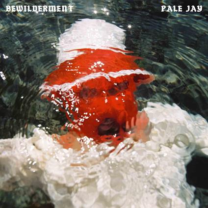 Bewilderment - Vinile LP di Pale Jay