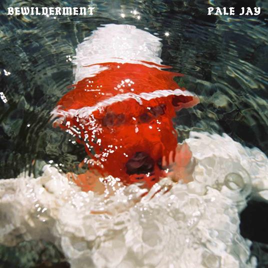 Bewilderment - Vinile LP di Pale Jay