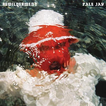 Bewilderment - CD Audio di Pale Jay