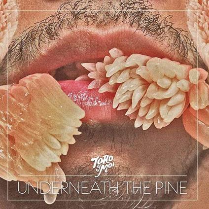Underneath the Pine (10th Anniversary Edition) - Vinile LP di Toro y Moi