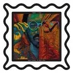 Anything in Return - Vinile LP di Toro y Moi