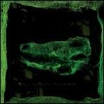 Down There - CD Audio di Avey Tare