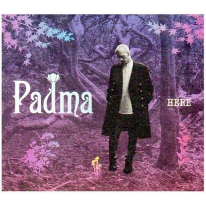 Here - CD Audio di Padma