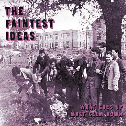 What Goes Up Must Calm - CD Audio di Faintest Ideas