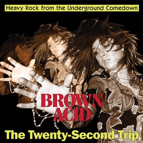 Brown Acid - The Twenty-Second Trip - Vinile LP