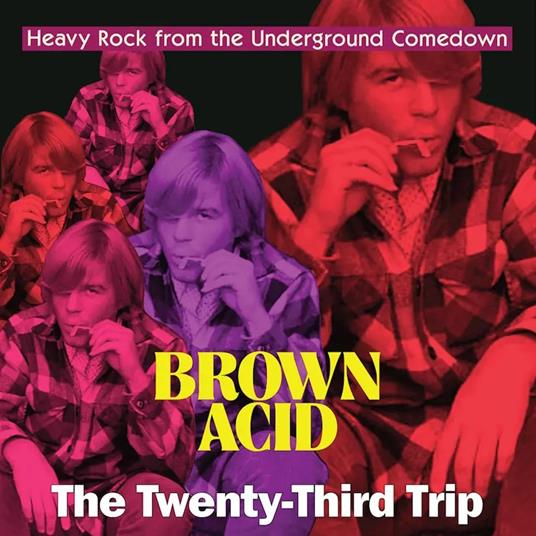 Brown Acid - The Twenty-Third Trip - CD Audio