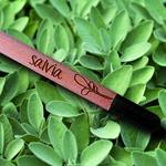 Matita Sprout Salvia