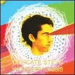 Wondervisions - Vinile LP di Delicate Steve