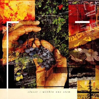 Within One Stem - Vinile LP di Closer