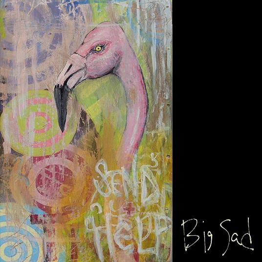 Send Help - Vinile LP di Big Sad