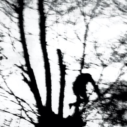 Camouflage Heart (Transparent Clear Vinyl) - Vinile LP di Cindytalk