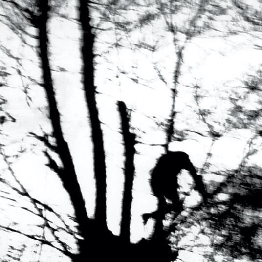 Camouflage Heart (Transparent Clear Vinyl) - Vinile LP di Cindytalk