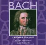 Cantate Sacre vol.20: BWV64, BWV65, BWV66 - CD Audio di Johann Sebastian Bach,Nikolaus Harnoncourt,Gustav Leonhardt,Concentus Musicus Wien