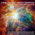 Shine on You Crazy Diamond. A Tribute to Pink Floyd's Greatest Hits