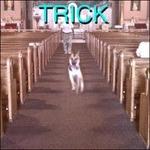 Trick - CD Audio di (Sandy) Alex G