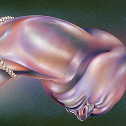 The Warping - CD Audio di Walt Disco