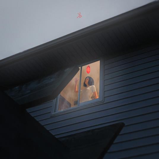 Crave - Vinile LP di Kills Birds