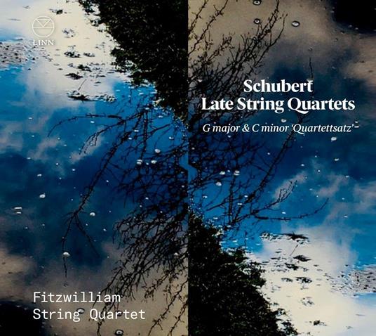 Late String Quartets. G Major and C Minor - CD Audio di Franz Schubert,Fitzwilliam String Quartet