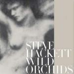 Wild Orchids - CD Audio di Steve Hackett