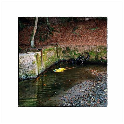 Totem - CD Audio di Franck Vigroux