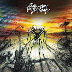 71spiders - CD Audio
