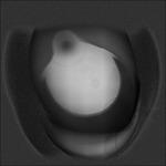 Milk and Peppers - Vinile 7'' di flies+flies