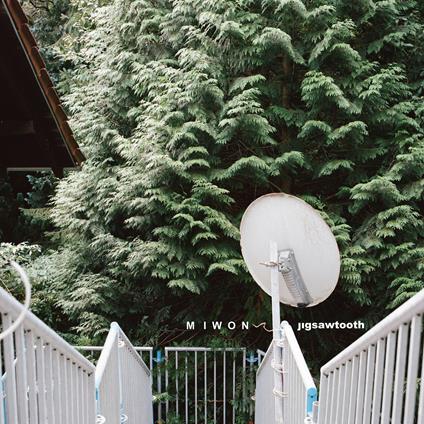 Jigsawtooth - CD Audio di Miwon