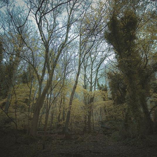 Time Lapse - Vinile LP di Worriedaboutsatan