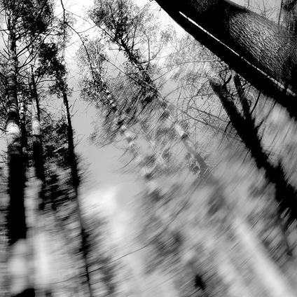 Totems - Vinile LP di Loess
