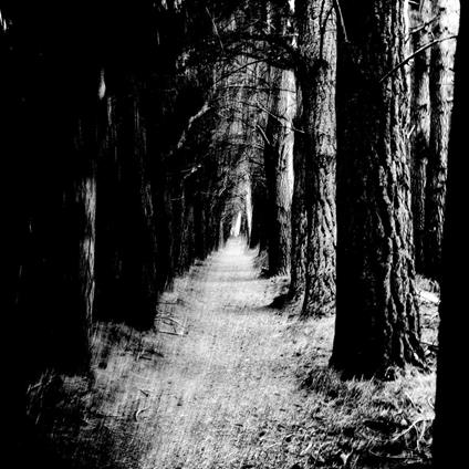 Falter - CD Audio di Stray Theories