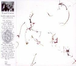 Six Encomiums for Cecil Taylor - CD Audio di Winged Serpents