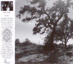 O, Sun - CD Audio di Amba Zoh