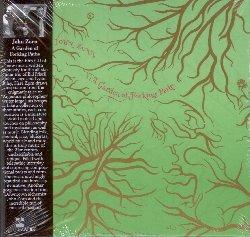 A Garden Of Forking Paths - CD Audio di John Zorn