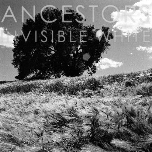 Invisible White (Mini-Cd) - CD Audio di Ancestors