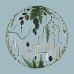 Tributaries Vol.2