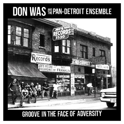 Groove In The Face Of Adversity - CD Audio di Don Was