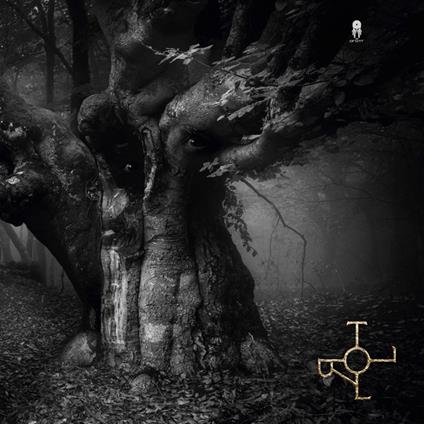 Troll - Vinile LP di Drott