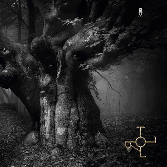 Troll - Vinile LP di Drott