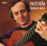Flamenco Guitar