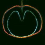 Apple Venus vol.2: Wasp Star - CD Audio di XTC