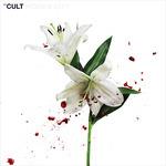 Hidden City - CD Audio di The Cult