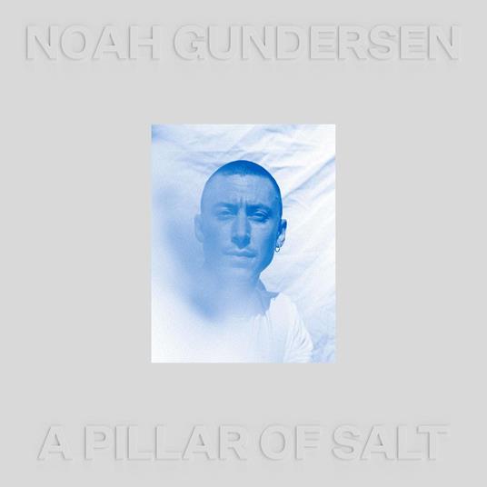 A Pillar Of Salt - Vinile LP di Noah Gundersen