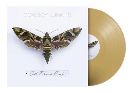 Such Ferocious Beauty (Translucent Gold Vinyl) - Vinile LP di Cowboy Junkies - 2
