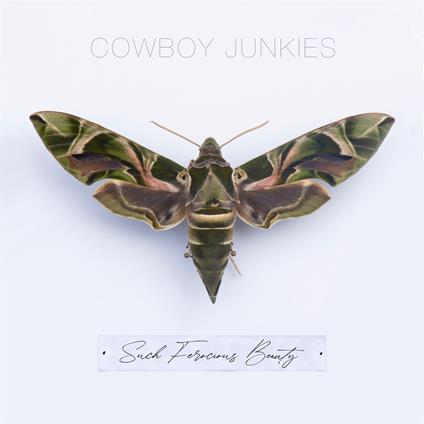 Such Ferocious Beauty - CD Audio di Cowboy Junkies