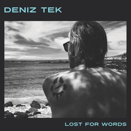 Lost for Words - Vinile LP di Deniz Tek
