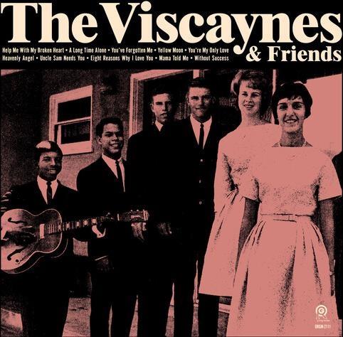 Viscaynes & Friends - Vinile LP di Viscaynes