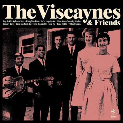 Viscaynes & Friends - CD Audio di Viscaynes