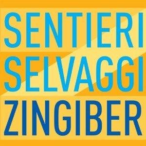 Zingiber - CD Audio di Carlo Boccadoro